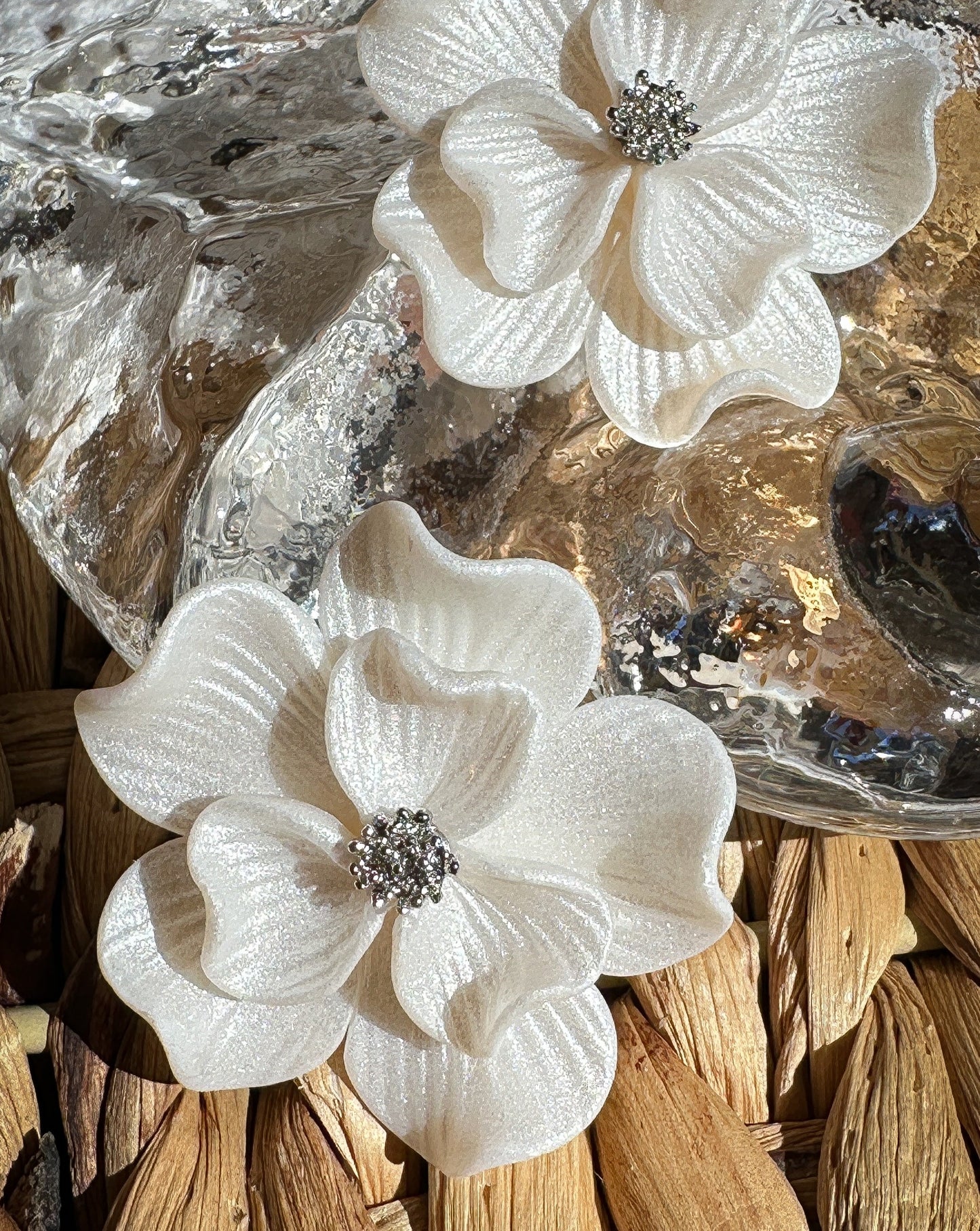 Laurel en flor Midi