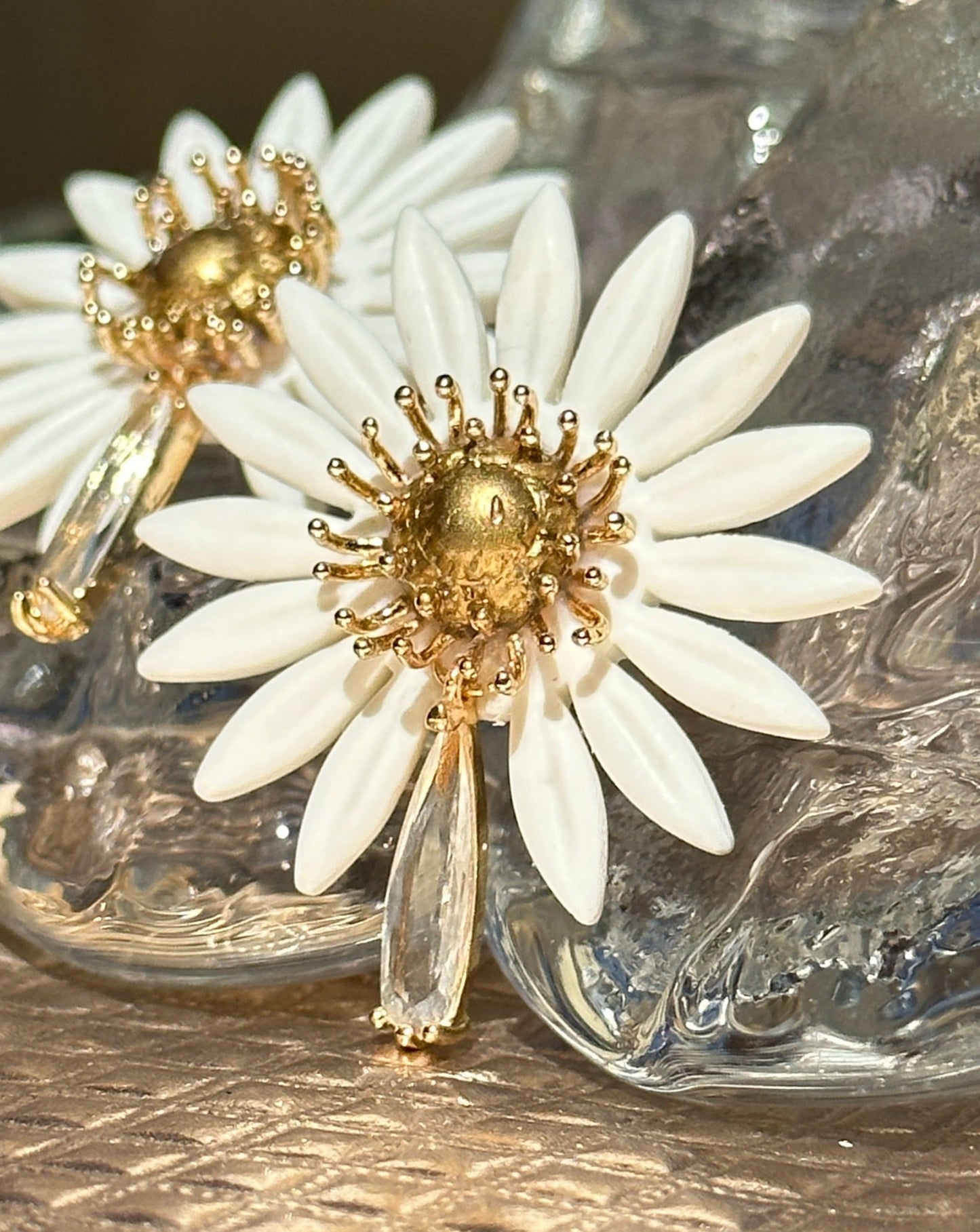 Daisy