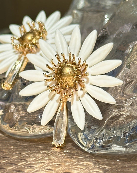 Daisy